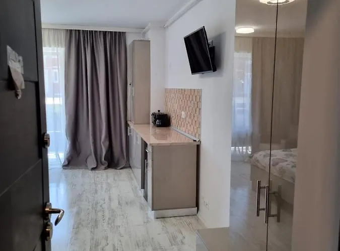 Apartament Garsoniera Adriana *